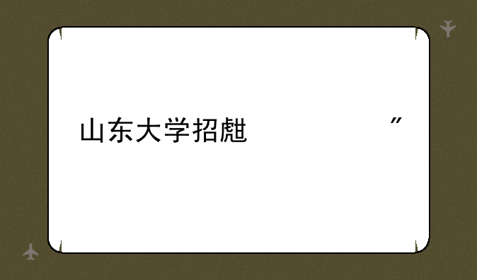 山东大学招生计划
