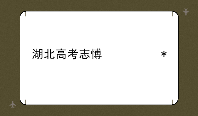 湖北高考志愿填报