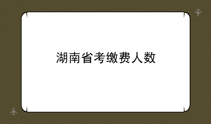 湖南省考缴费人数