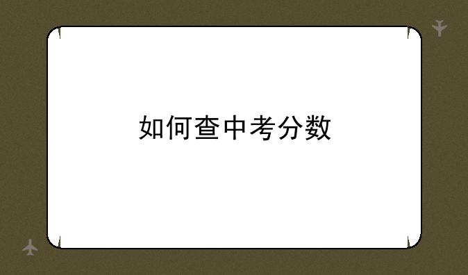 如何查中考分数