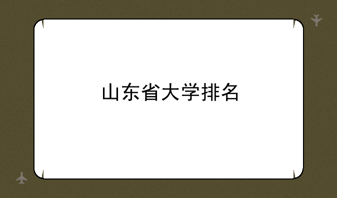 山东省大学排名