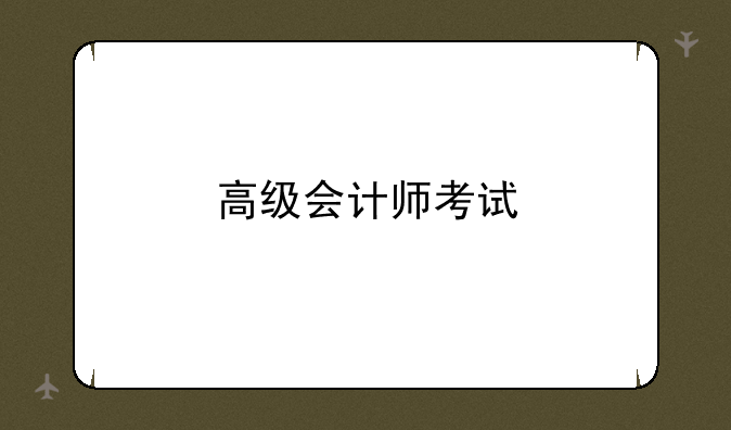 高级会计师考试