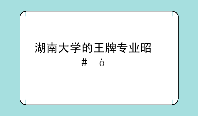 湖南大学的王牌专业是什么？