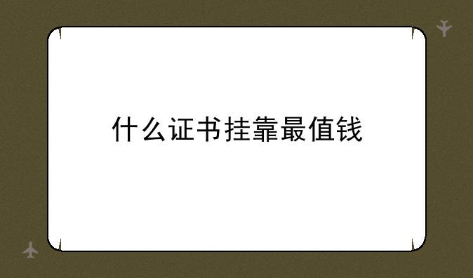 什么证书挂靠最值钱