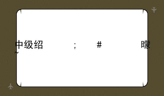 中级经济师证书查询