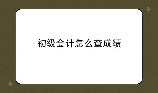 初级会计怎么查成绩