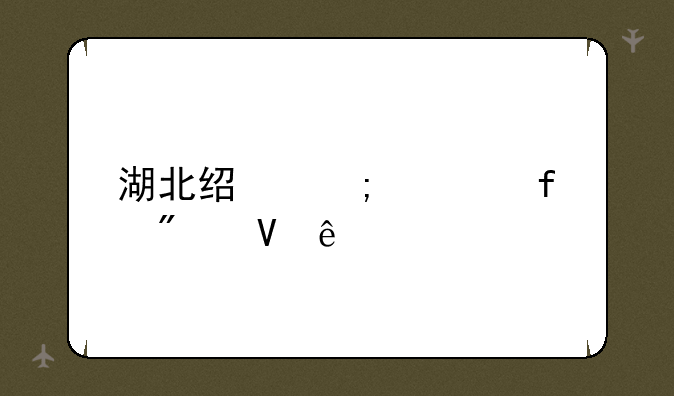 湖北经济学院分数线