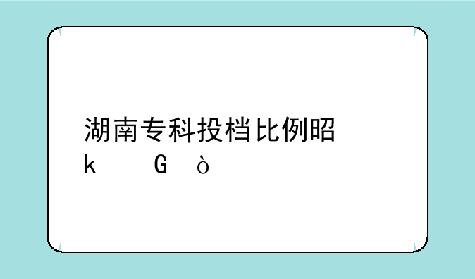 湖南专科投档比例是多少？