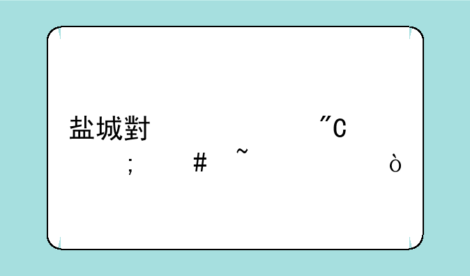 盐城小中考成绩怎么查询？