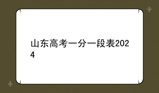 山东高考一分一段表2024