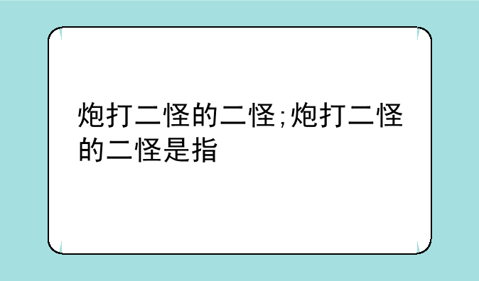 炮打二怪的二怪;炮打二怪的二怪是指